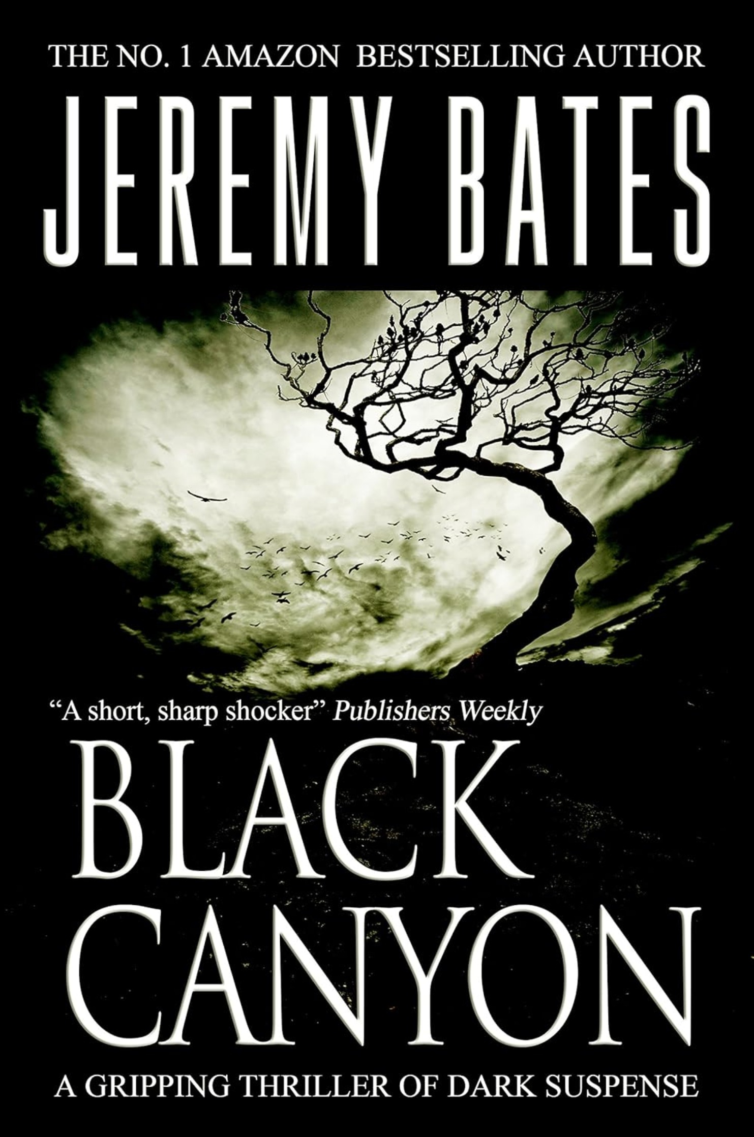 Black Canyon Cover