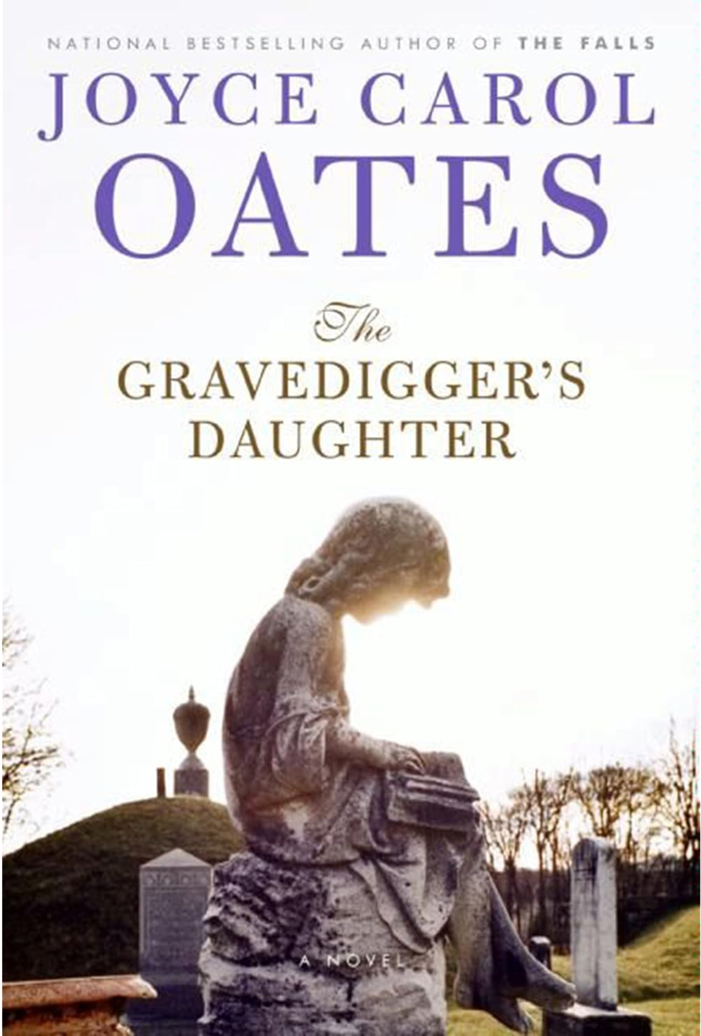 The Gravedigger's Daughter Cover